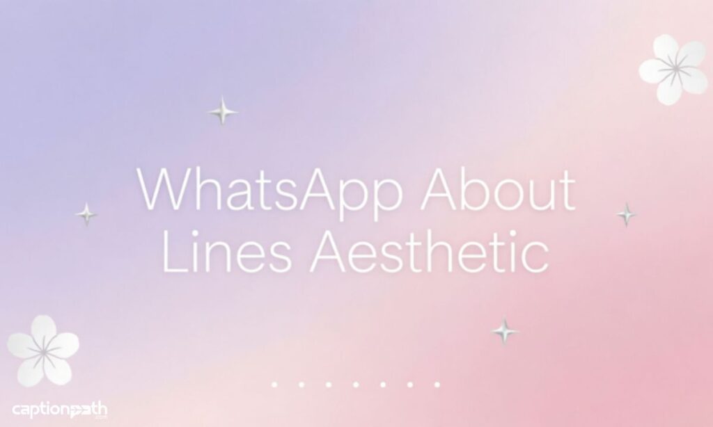 WhatsApp About Lines Aesthetic