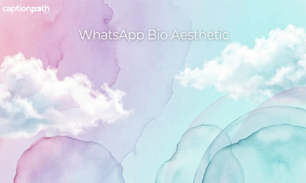 WhatsApp Bio Aesthetic